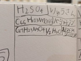 ���������̉��w���������Œ��ׂă����c�wDr. STONE�x�Ƀn�}�����c�t�����́h���O�[���T���S�h�ɋ����̐�