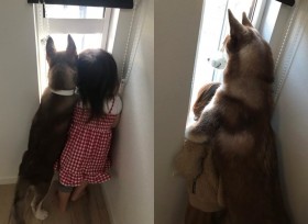 �����ׂ������X�s�[�h���������n�X�L�[���Ɂu�S�䂩��܂����v