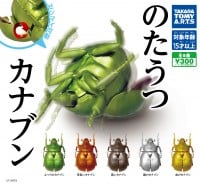 �b��̃K�`���w�̂����J�i�u���x�Ɍ��鑽�l������J�v�Z���g�C�̖����Ƃ́H