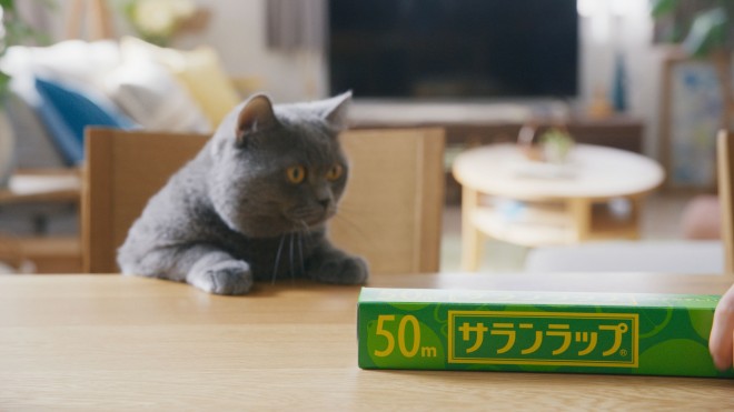 �T�������b�v��CM�w�؂肽���L�x��