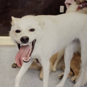 �������߈ˁc���������āh�d���݂����ɂȂ����h����12��������