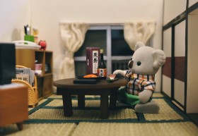 �g�G�����h�ɂ��g���킢���h�ɂ��}�b�`����V���o�j�A�̖���