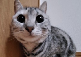 �N���N�������ڂ̃A���V���̔��L ������̗����ɓ�Ӗ������c�V���ȋ��ꏊ��������܂�