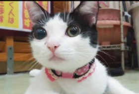 �u�Ί_���������Ă����I�v�Жڂ�a�񂾕ی�L�A�v����������h�a�@�̑I�ѕ��h�ƒn���i��