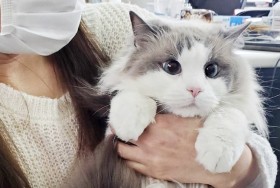 �u���a�ŔL��������v������ƔL�̗܂̕ʂ�A��؂����炱���Ⴄ�������