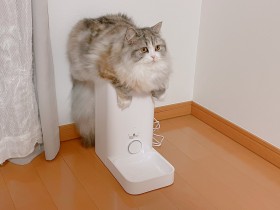 �u��̉����Ă�v�u�t�B�b�g����΂��v���ьシ���������a��ŃX�^���o��L��10���z���̂�����