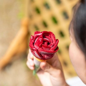 �u����{������Ȃ���!?�v�A�C�X�ō��ꂽ�g�o���h�ɔ����u����n�ɗ��邫�������Ɂv