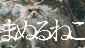 �ŌÂ̔L�g�}�k���l�R�h�Ɂu��u�ŗ��ɂȂ����v�@130����Đ��̌����e�[�}�\���O�ŕ\�������g�����ۑS�h�Ƃ�