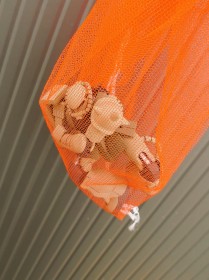 �t�@�[�X�g�K���_���̖��V�[�����g�~�J���̖ԁh�Ŋ��S�Č��@SNS��^��3.3�������ˁu�V�˂̔��z�v