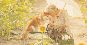 �c���̈�e���g���B��h�ƒm�����c�@�c��̎v���o���c�������鑷�̑z���u��e���������������Ă����v