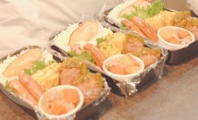 �u���z�䔃���܂����v�̐����o�@��������{�ō��ٓ��ɔ���