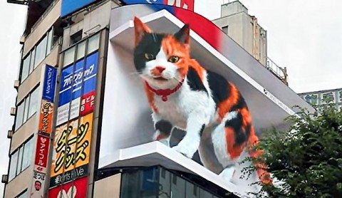 新宿の3Du201c巨大猫u201dの大反響に驚き、「コロナで落ち込む新宿に明るい映像 