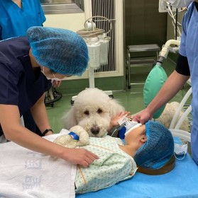 ��p�Ɋ��Y���g�a�@�Ζ����h�̈Ӌ`�@�u���������ł͂Ȃ��v�������҂ɂ����炷��