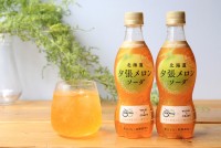 ���Ǐd�ˁA�[���������̖F���ȍ����\�� �[���s�_���ƈꏏ�ɍ�����w�k�C���[���������\�[�_�x������