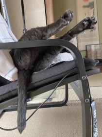 �֎q�̂Ђ��|�����瑫���s�[���I �L�̊�V��ȐQ���Ɂu���킢�����P�c�v�u�X�g���b�`���H�v