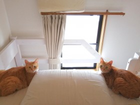 �V���N������2�C�̒��g���̍��E����́g���͂񈳁h�Ɂu���L�H�v�u���ł͂������܂���ˁH�v