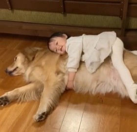 �n�O��D����2�˂̏��̎q�ƃS�[���f�����g���o�[��300���Đ�