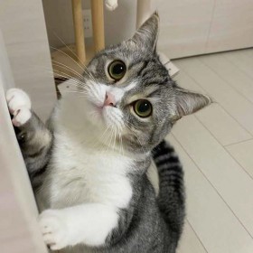 6���񌩂�ꂽ�L�w�����܂���L�x�Ȃ��l�C�H �g���l����h�������������Ɓg�����l�h�̐��́u���g�͌��v