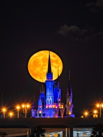 �u�Z�[���[���[�����o�Ă������c�v�����ƃV���f������̔���������R���{�ʐ^���b��