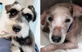 �u�݂������������ׂ��H�v�a�C�̌��Ɛ����ی�̎�����A�ǂ��l�߂�ꂽ�ʂĂ̋~���u���͎������Y��Ȃ��v