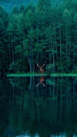 �ĕ����Ŕ����́w���̂̂��P�x�A�u�V�V�_�l��z���č�����v���z�I���E�ς�\��������i��19��������