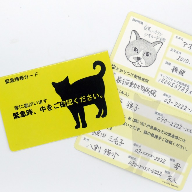 愛猫家”必携の「家に猫がいます」カードが注目 飼い主が“有事の際”、残 