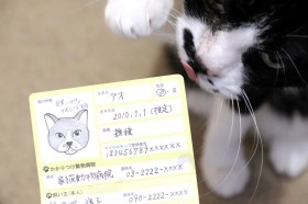 �g���L�Ɓh�K�g�́u�ƂɔL�����܂��v�J�[�h�����ځ@�����傪�g�L���̍ہh�A�c���ꂽ���������̂��߂�