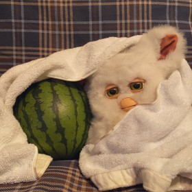 �|���H�����H �ŐV�씭�������10�N�A���Ȃ��������u�t�@�[�r�[�v�́g���l�󂯂��Ȃ��h����