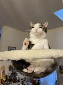 �˂��l�~�ՁH �g�L���R���N�V�����h�Ɂu�����v���肻���v