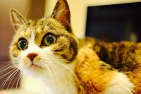 25�΂̔L�Ɂu�Ō�̎d����v�c���y�����O�̂��΂������L���x���������A6�N�Ԍ��������ƂȂ������g����h�ɗ܂��~�܂�Ȃ�