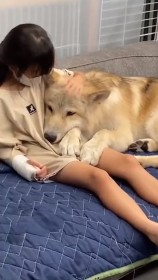 �h�����ɂ͓��ɗD�����h�E���t�h�b�O�Ɩ�������J