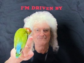 �u���C�A���E���C�ɊÂ���C���R�H �N�C�[�����������������������͕��G�u��������̂Ɂc�v