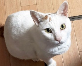 �u�]��2�T�ԁv�鍐���ꂽ�t���a�̔L�A�u�G�̏オ��D���������v���̎q�́g�ꏊ�h�͍����󂢂��܂�