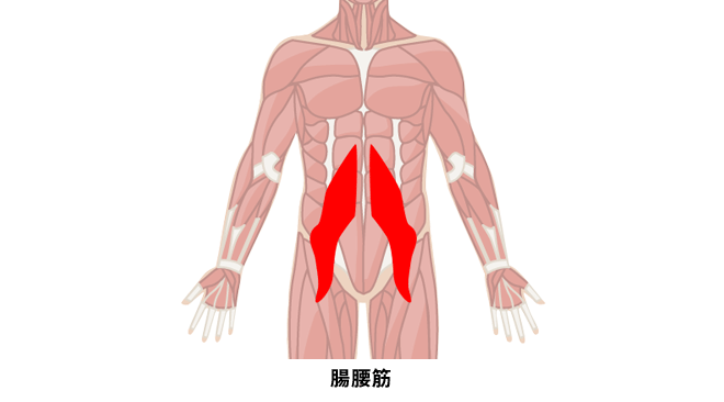 インナーマッスルを鍛える 腸腰筋の筋トレメニュー プロが教えるインナーマッスルの筋トレ Oricon News