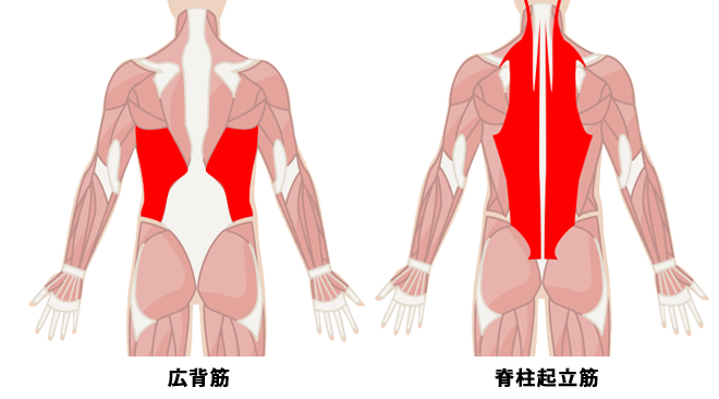 初心者が腹筋ローラーで効率よく腹筋を鍛えるための使い方 プロが教える腹筋の筋トレ Oricon News