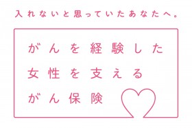 �u������E�q�{�򂪂�E�q�{�̂���v���Ò��ł������ł���V�ی��A�g�Ĕ��ւ̔����h�ŏ������x����