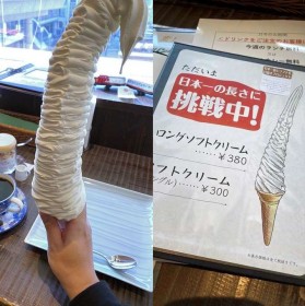 �傫���̉A�ɉB�ꂽ�g�E�l�Z�h������c�H�c���w�����O�\�t�g�N���[���x�ɍ��߂�ꂽ�n�抈���ւ̑z��