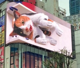 �g�V�h�����̔L�h���V���{���Ƃ��Ē蒅�A��������R���i��u�V�h�́g���������h�ɔL����𔃂�����v