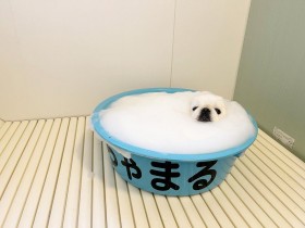 �����n���ĉt�̂ɁH�@�y�L�j�[�Y�Z��̓������Ԃɖ���