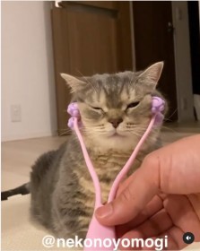 �}���`�J�������烍�[���[�Ŋ�₹�}�b�T�[�W�H