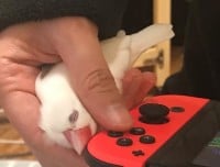 �h���q���h�ی삵7�N�A������̎肪��D���ȕ����ɔ����@�u�킽���̎�ł����Ȃ�A���܂ł����Ȃ�����v