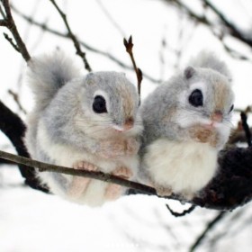 �u�{������Ȃ���?�v�r�уt�F���g�ō�����G�]�������K�ɋ����A�u���R�̒����Ƃ�萶���������Ă���v