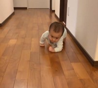 �قӂ��O�i�c�H �n�C�n�C�̕Ȃ������Ԃ�����90���Đ�