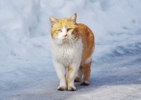 �u��̓��̔L�͂ǂ����Ă�H�vSNS�ɏオ��S�z�̐��A������L���~����������u����Ȃɂ��D�����l����������v