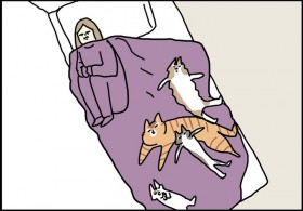 �g10�C�̔L�h�ƕ�炷�����傳��A��������Ȃ��ĐQ���񂾖��̏o�����Ƃ́H�@�u�L�����ɐ������Ă�����Ă���v