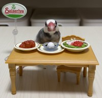 �������ăT�C�[��������D���H �~�j�`���A���E�ɓ���ޕ����ɔ����u�a�ށI�v