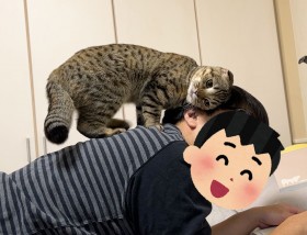 �����判�����������L��153���Đ��u����\�����Z���v