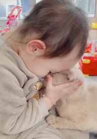 �X�R�e�B�b�V���t�H�[���h��M������3�˂̏��̎q��120���Đ��u�Ȃ�đ����́c�v