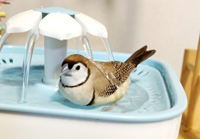 �����͂����̂͂����̂��Ƃ�����