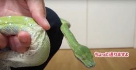 �E�炪�߂�ǂ������Ď�����ɂ�点��w�r�����530���Đ��@60�C���炷��w�r�����̂��Ƃ́u�Ƒ��Ƃ͂܂��Ⴄ���o�v